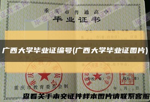 廣西大學畢業證編號(廣西大學畢業證圖片)縮略圖