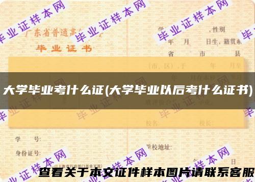 大學畢業考什么證(大學畢業以后考什么證書)縮略圖