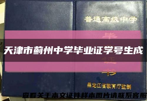 天津市薊州中學畢業證學號生成縮略圖