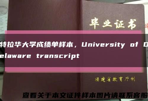 特拉華大學成績單樣本，University of Delaware transcript縮略圖