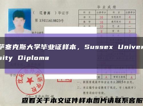 薩塞克斯大學畢業證樣本，Sussex University Diploma縮略圖