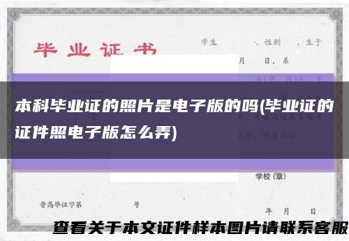 本科畢業證的照片是電子版的嗎(畢業證的證件照電子版怎么弄)縮略圖