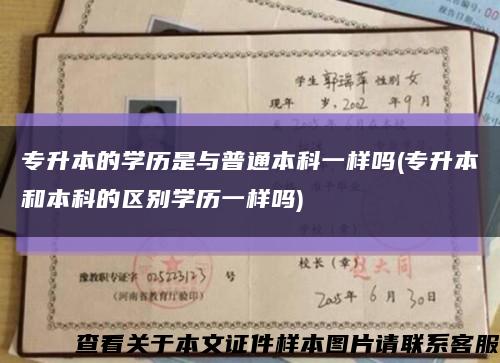 專升本的學歷是與普通本科一樣嗎(專升本和本科的區別學歷一樣嗎)縮略圖