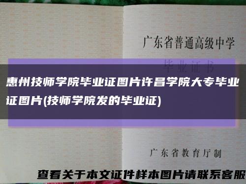 惠州技師學院畢業證圖片許昌學院大專畢業證圖片(技師學院發的畢業證)縮略圖