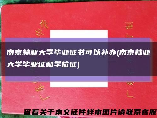 南京林業大學畢業證書可以補辦(南京林業大學畢業證和學位證)縮略圖