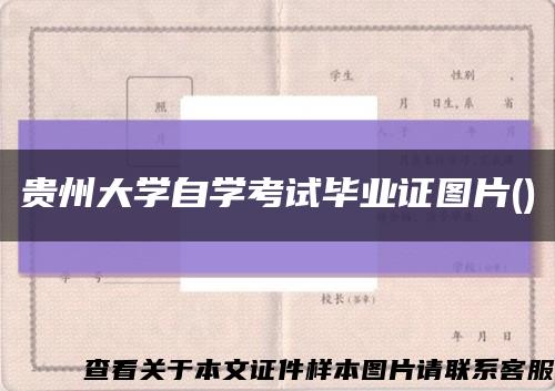 貴州大學自學考試畢業證圖片()縮略圖