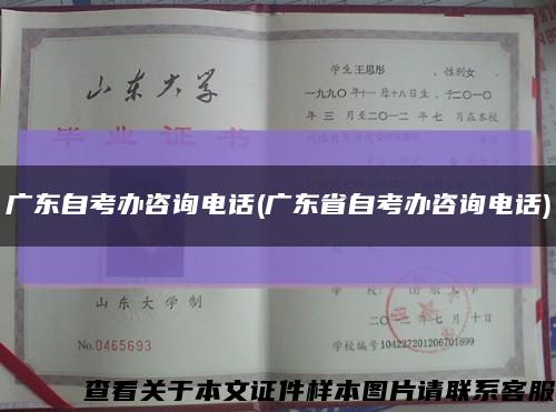 廣東自考辦咨詢電話(廣東省自考辦咨詢電話)縮略圖