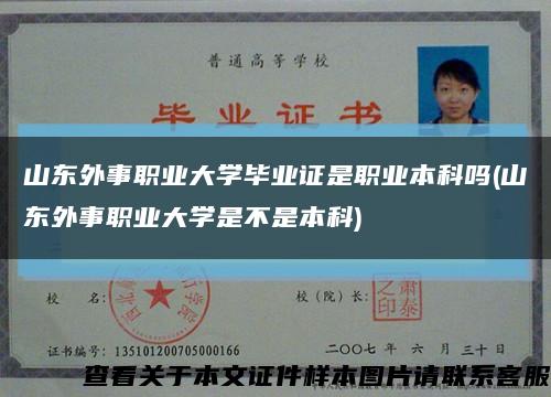 山東外事職業大學畢業證是職業本科嗎(山東外事職業大學是不是本科)縮略圖