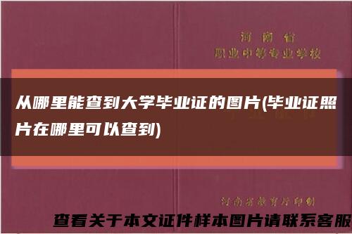 從哪里能查到大學畢業證的圖片(畢業證照片在哪里可以查到)縮略圖