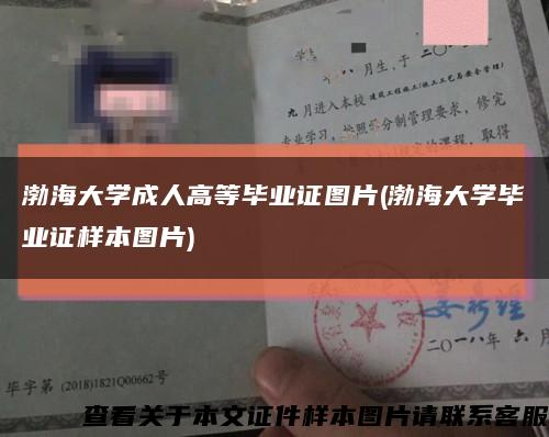 渤海大學成人高等畢業證圖片(渤海大學畢業證樣本圖片)縮略圖