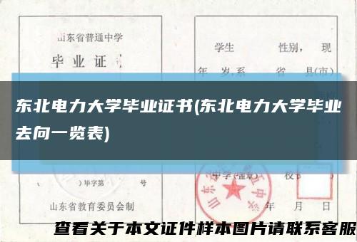 東北電力大學畢業證書(東北電力大學畢業去向一覽表)縮略圖