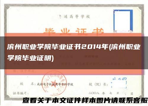 濱州職業學院畢業證書2014年(濱州職業學院畢業證明)縮略圖