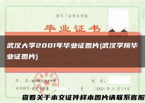 武漢大學2001年畢業證圖片(武漢學院畢業證圖片)縮略圖