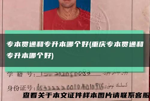 專本貫通和專升本哪個好(重慶專本貫通和專升本哪個好)縮略圖