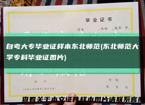 自考大專畢業證樣本東北師范(東北師范大學?？飘厴I證圖片)縮略圖