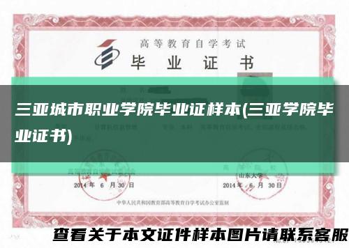 三亞城市職業學院畢業證樣本(三亞學院畢業證書)縮略圖