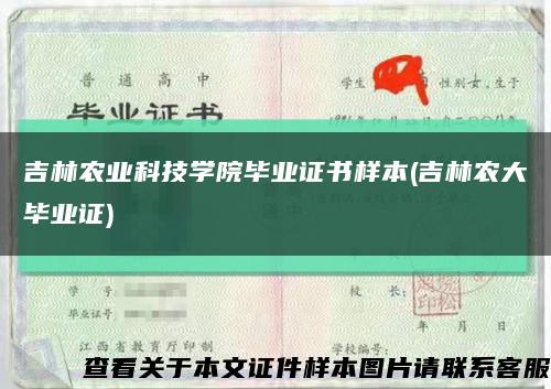 吉林農業科技學院畢業證書樣本(吉林農大畢業證)縮略圖