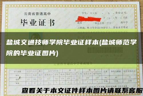 鹽城交通技師學院畢業證樣本(鹽城師范學院的畢業證圖片)縮略圖