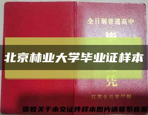 北京林業大學畢業證樣本縮略圖