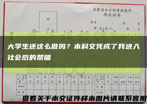 大學生還這么做嗎？本科文憑成了我進入社會后的禁錮縮略圖