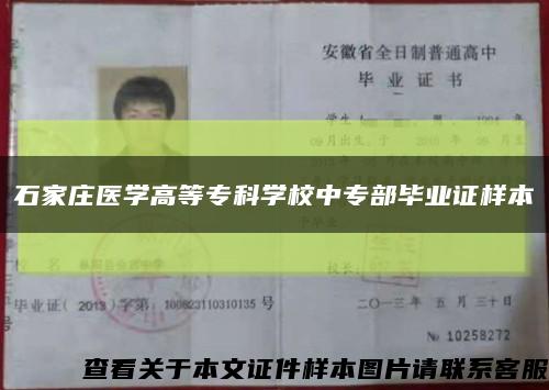 石家莊醫學高等?？茖W校中專部畢業證樣本縮略圖