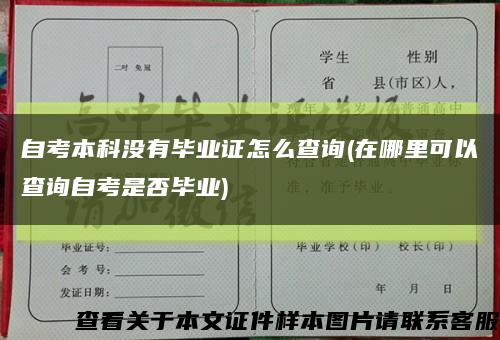 自考本科沒有畢業證怎么查詢(在哪里可以查詢自考是否畢業)縮略圖