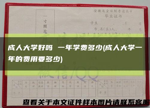 成人大學好嗎 一年學費多少(成人大學一年的費用要多少)縮略圖