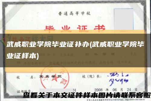 武威職業學院畢業證補辦(武威職業學院畢業證樣本)縮略圖