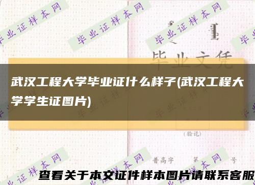 武漢工程大學畢業證什么樣子(武漢工程大學學生證圖片)縮略圖