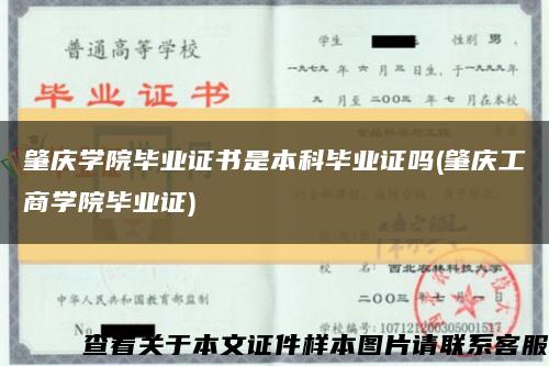 肇慶學院畢業證書是本科畢業證嗎(肇慶工商學院畢業證)縮略圖