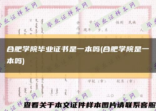 合肥學院畢業證書是一本嗎(合肥學院是一本嗎)縮略圖