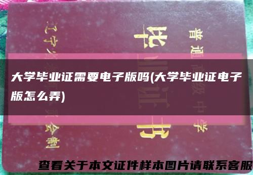 大學畢業證需要電子版嗎(大學畢業證電子版怎么弄)縮略圖