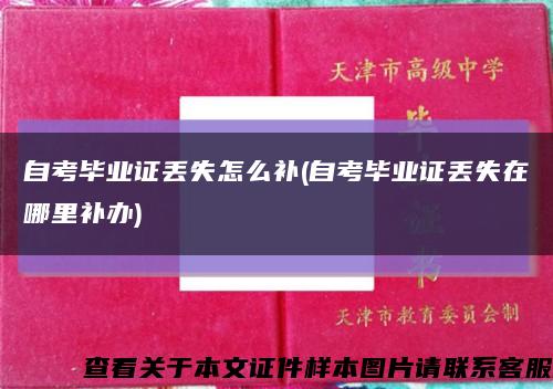自考畢業證丟失怎么補(自考畢業證丟失在哪里補辦)縮略圖
