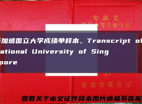 新加坡國立大學成績單樣本，Transcript of National University of Singapore縮略圖