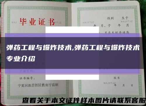 彈藥工程與爆炸技術,彈藥工程與爆炸技術專業介紹縮略圖