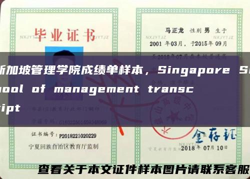 新加坡管理學院成績單樣本，Singapore School of management transcript縮略圖