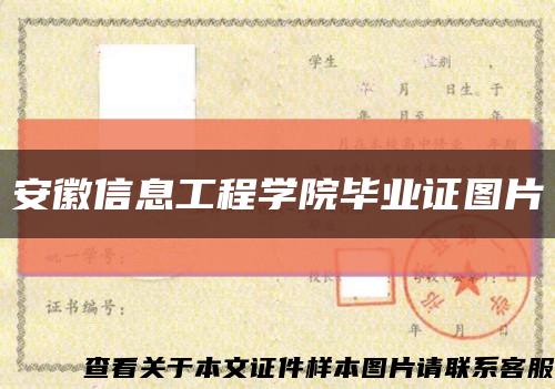 安徽信息工程學院畢業證圖片縮略圖
