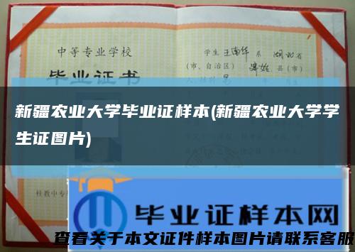 新疆農業大學畢業證樣本(新疆農業大學學生證圖片)縮略圖