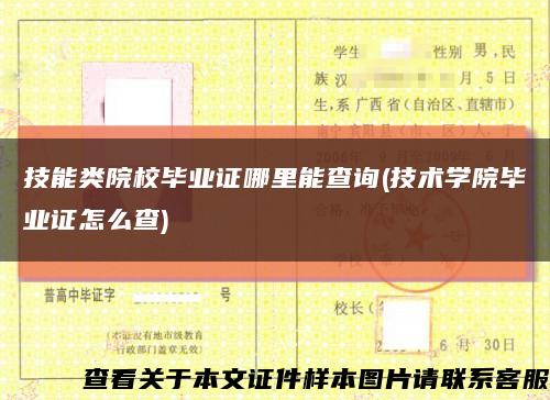 技能類院校畢業證哪里能查詢(技術學院畢業證怎么查)縮略圖