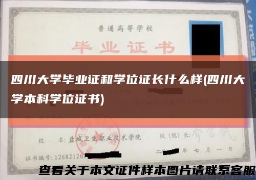 四川大學畢業證和學位證長什么樣(四川大學本科學位證書)縮略圖