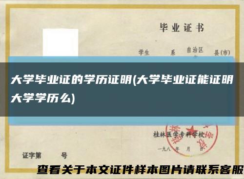 大學畢業證的學歷證明(大學畢業證能證明大學學歷么)縮略圖