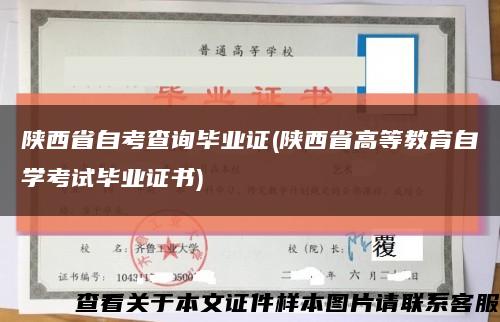 陜西省自考查詢畢業證(陜西省高等教育自學考試畢業證書)縮略圖