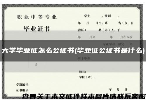 大學畢業證怎么公證書(畢業證公證書是什么)縮略圖