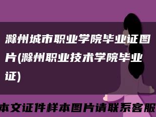 滁州城市職業學院畢業證圖片(滁州職業技術學院畢業證)縮略圖