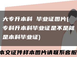 大專升本科 畢業證圖片(?？粕究飘厴I證是不是就是本科畢業證)縮略圖