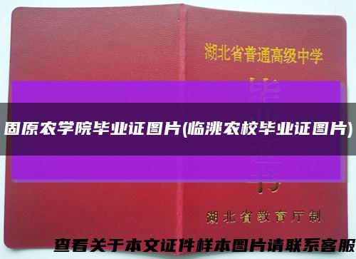 固原農學院畢業證圖片(臨洮農校畢業證圖片)縮略圖