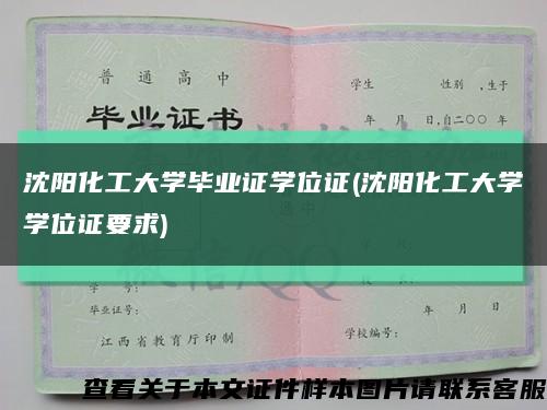 沈陽化工大學畢業證學位證(沈陽化工大學學位證要求)縮略圖