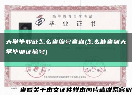 大學畢業證怎么查編號查詢(怎么能查到大學畢業證編號)縮略圖