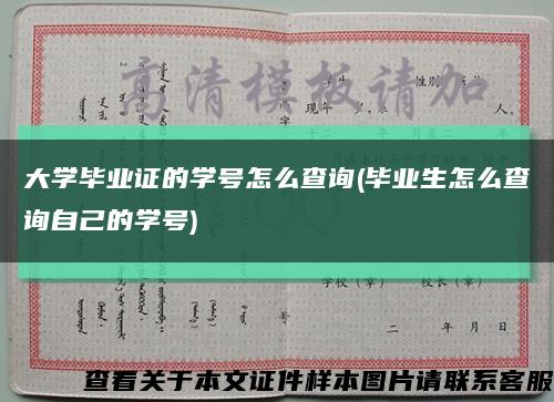 大學畢業證的學號怎么查詢(畢業生怎么查詢自己的學號)縮略圖