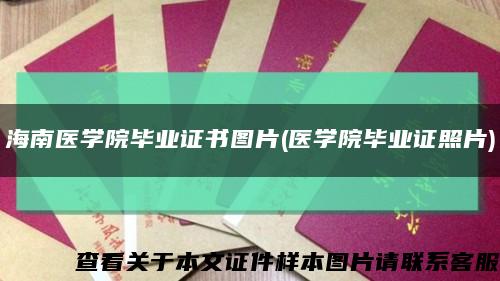 海南醫學院畢業證書圖片(醫學院畢業證照片)縮略圖